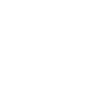 google premier partner white 1